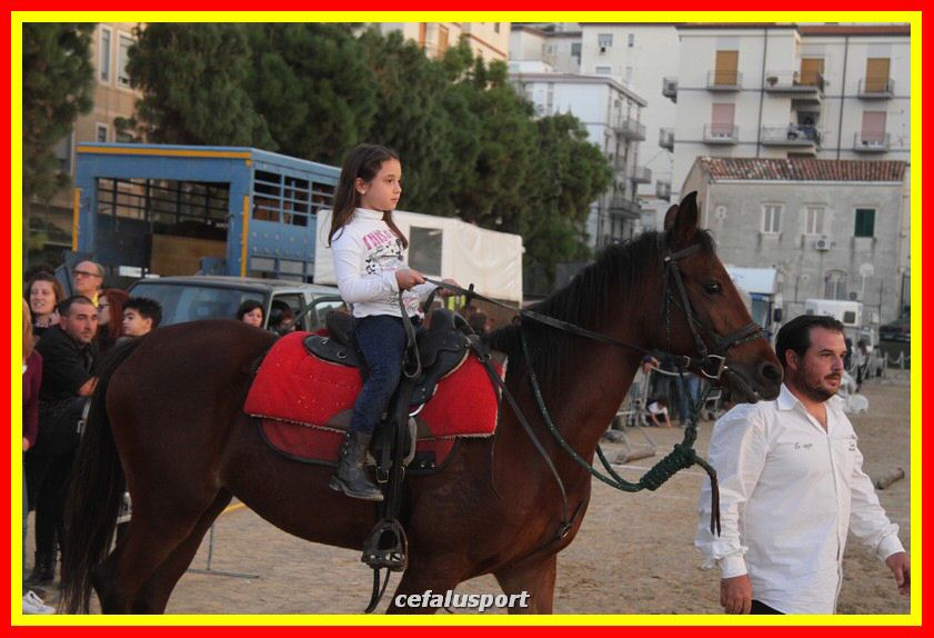 161106 equestre 154_tn.jpg